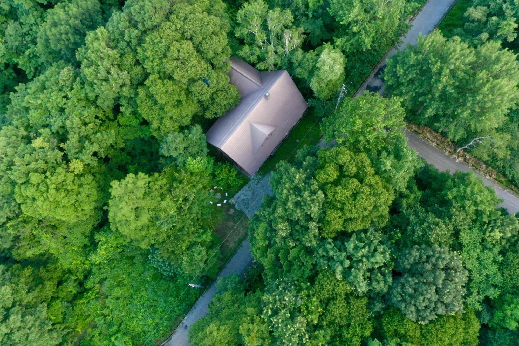 Villa Woody Island à Hakuba Extérieur photo