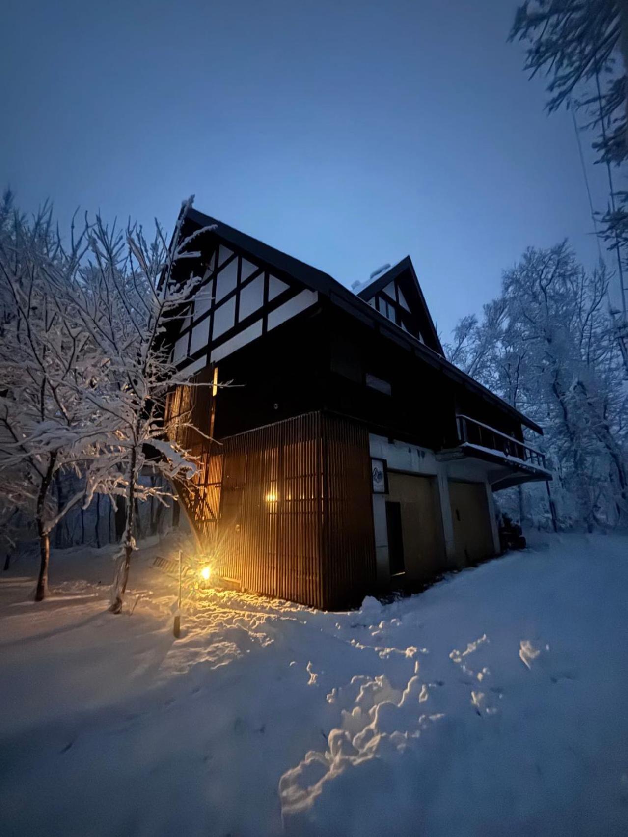 Villa Woody Island à Hakuba Extérieur photo